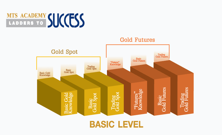 Basic Level