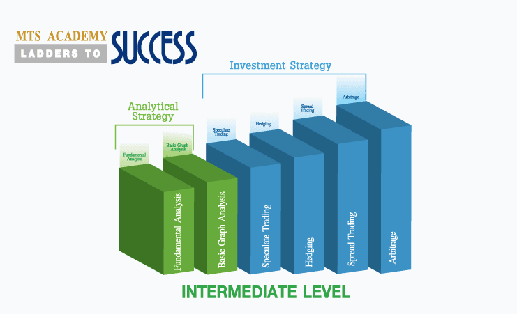 Intermediate Level